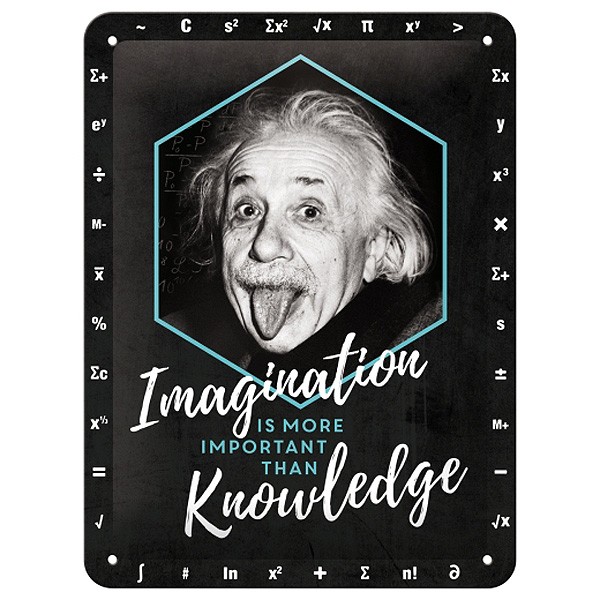 Blechschild Einstein Imagination