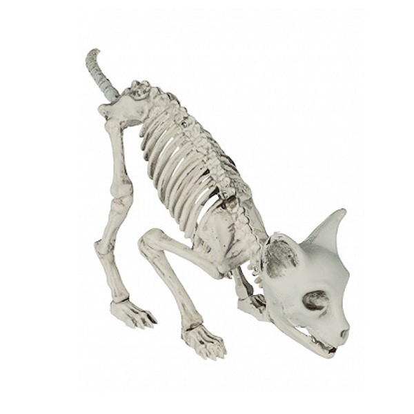Katzenskelett Halloweendeko Kunststoff