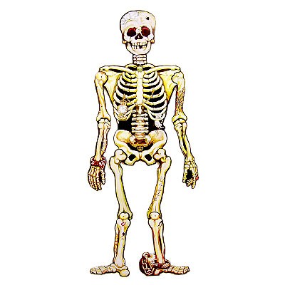 Halloweendeko Skelett Karton 147cm