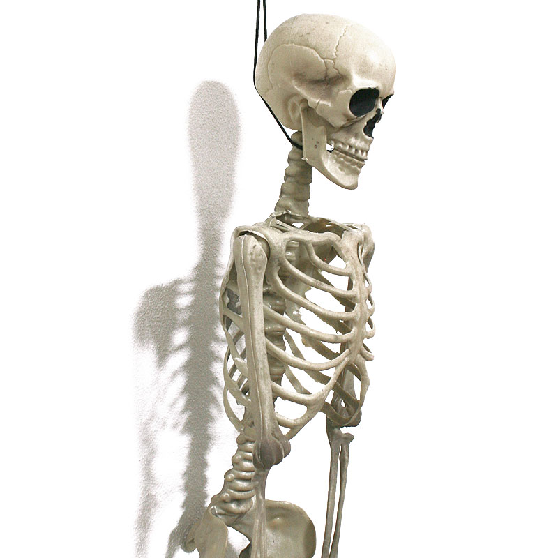 Deko-Skelett aus Kunststoff, ca. 90 cm lang - Halloween & Party-Deko