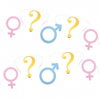 Vorschau: Girl or Boy Partygirlande Vorschau: Girl or Boy Partygirlande