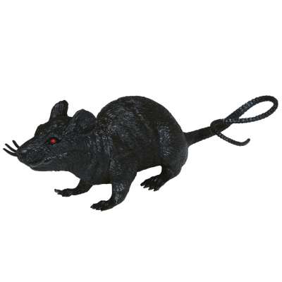 Boland Vogel-Skelett Attrappe – 20 Cm, Mit Beweglichem Mund, Für Halloween & Mottoparty