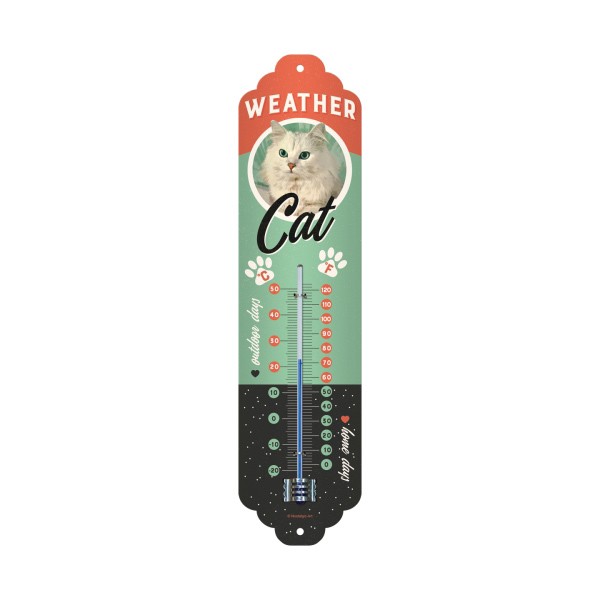 Thermometer Weather Cat