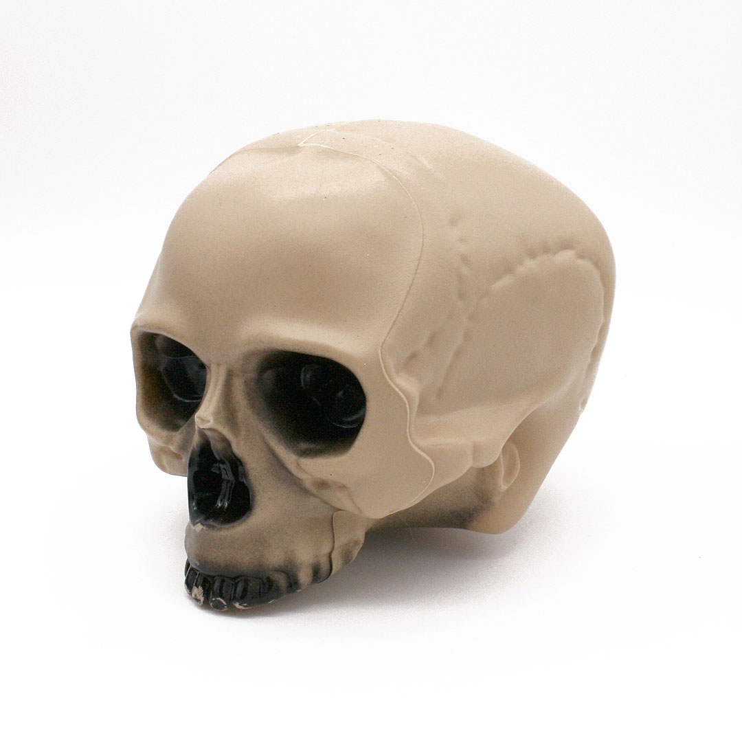 Totenkopf Skull Deko Kunststoff klein in Nordrhein-Westfalen