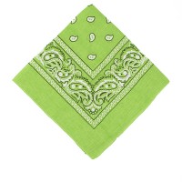 Bandana Halstuch hellgrün Bandana Halstuch hellgrün