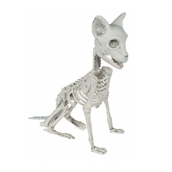 Halloweendeko Katzenskelett