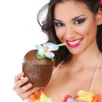 Kunststoff Kokusnuss Becher Hawaiiparty Kunststoff Kokusnuss Becher Hawaiiparty