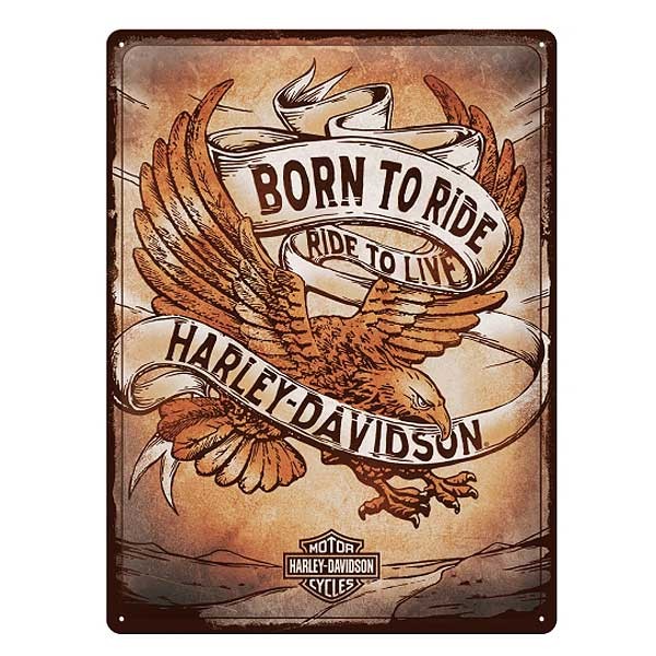 Harley Davidson Blechschild Born to Ride Eagle
