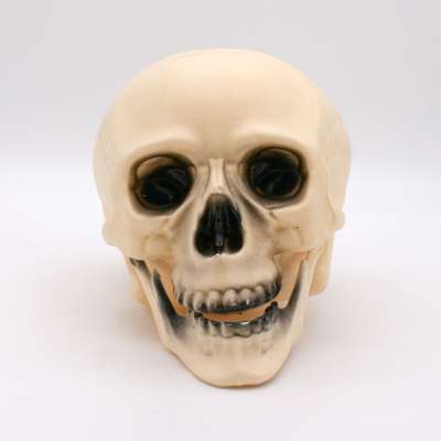 JIEFULL Mini Totenkopf Set – 10 Kunststoff-Schädel, 7x6x5 Cm, Realistisch – Perfekt Für Halloween Deko, Mottopartys, Karneval & Spoofs